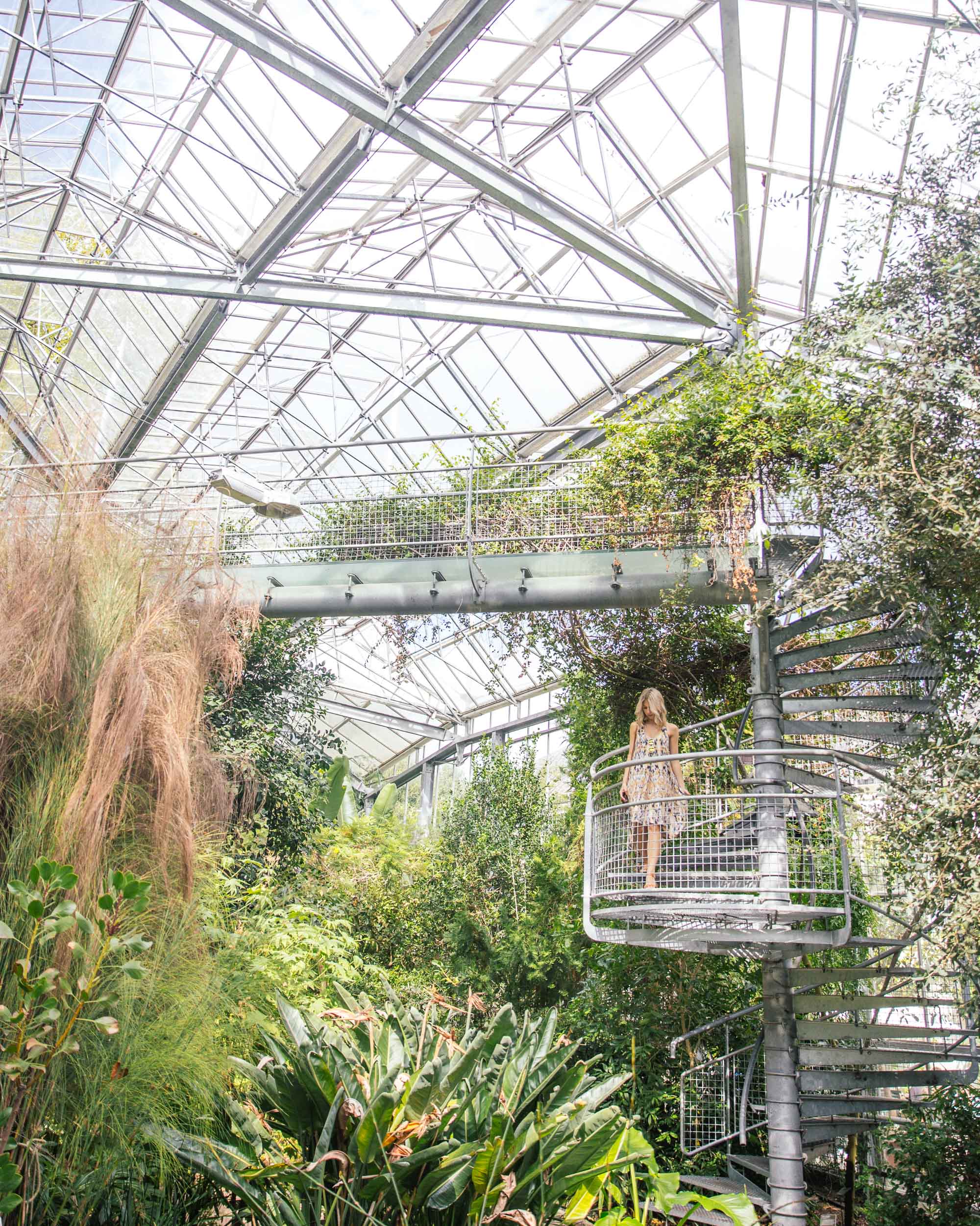 Hortus Botanicus gardens in Amsterdam city center, Holland, The Netherlands