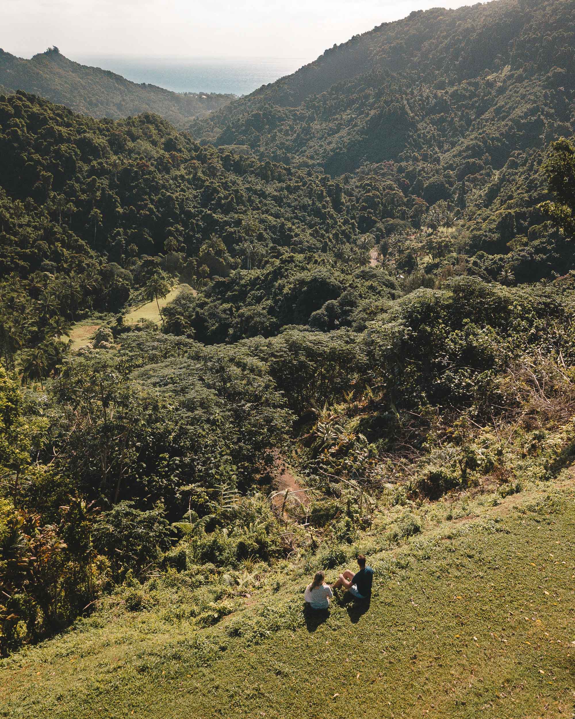 Rarotonga jungle lookout in the mountains of the Cook Islands | Find Us Lost