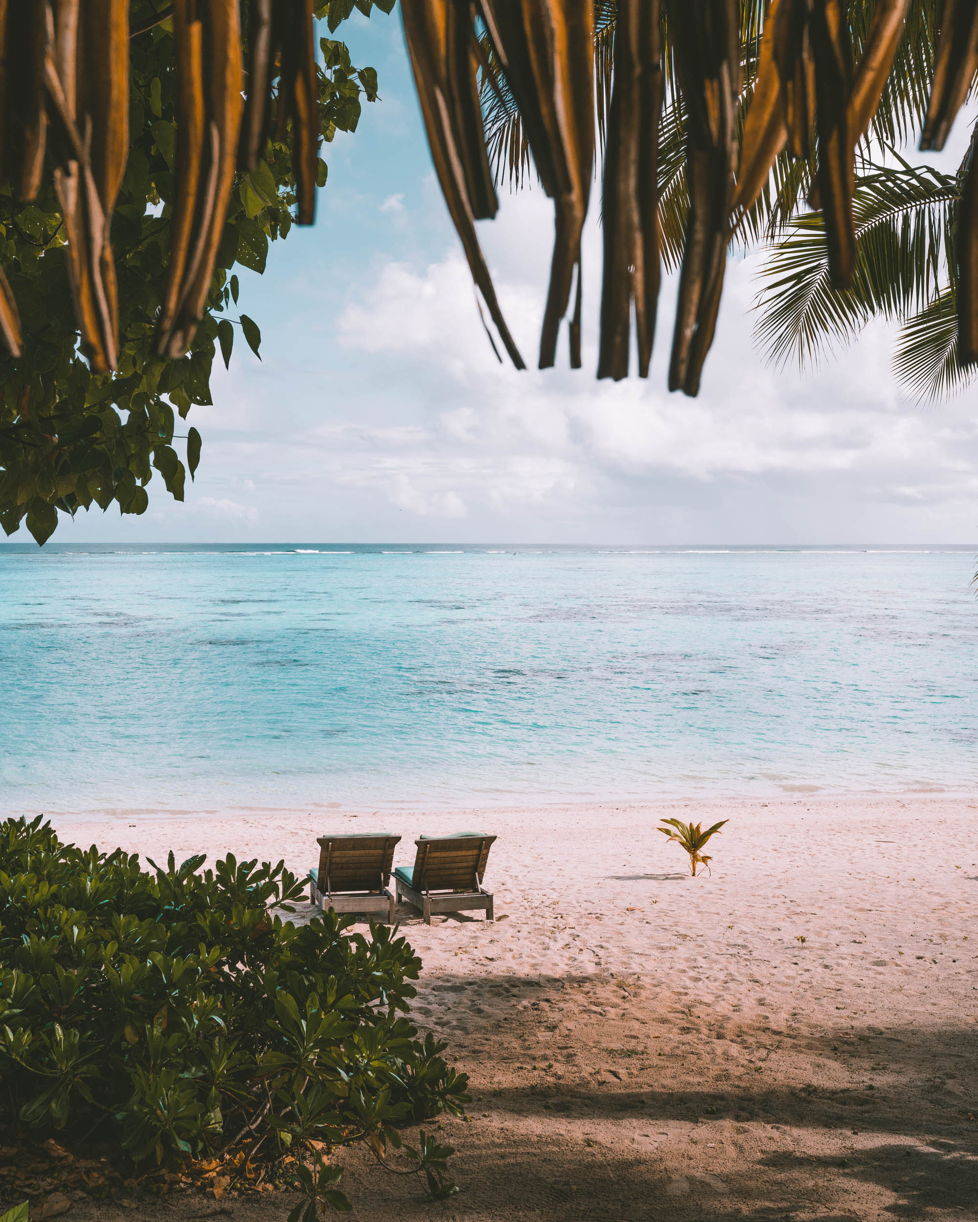 Jungle bungalow on the water at Pacific Resort Aitutaki in the Cook Islands