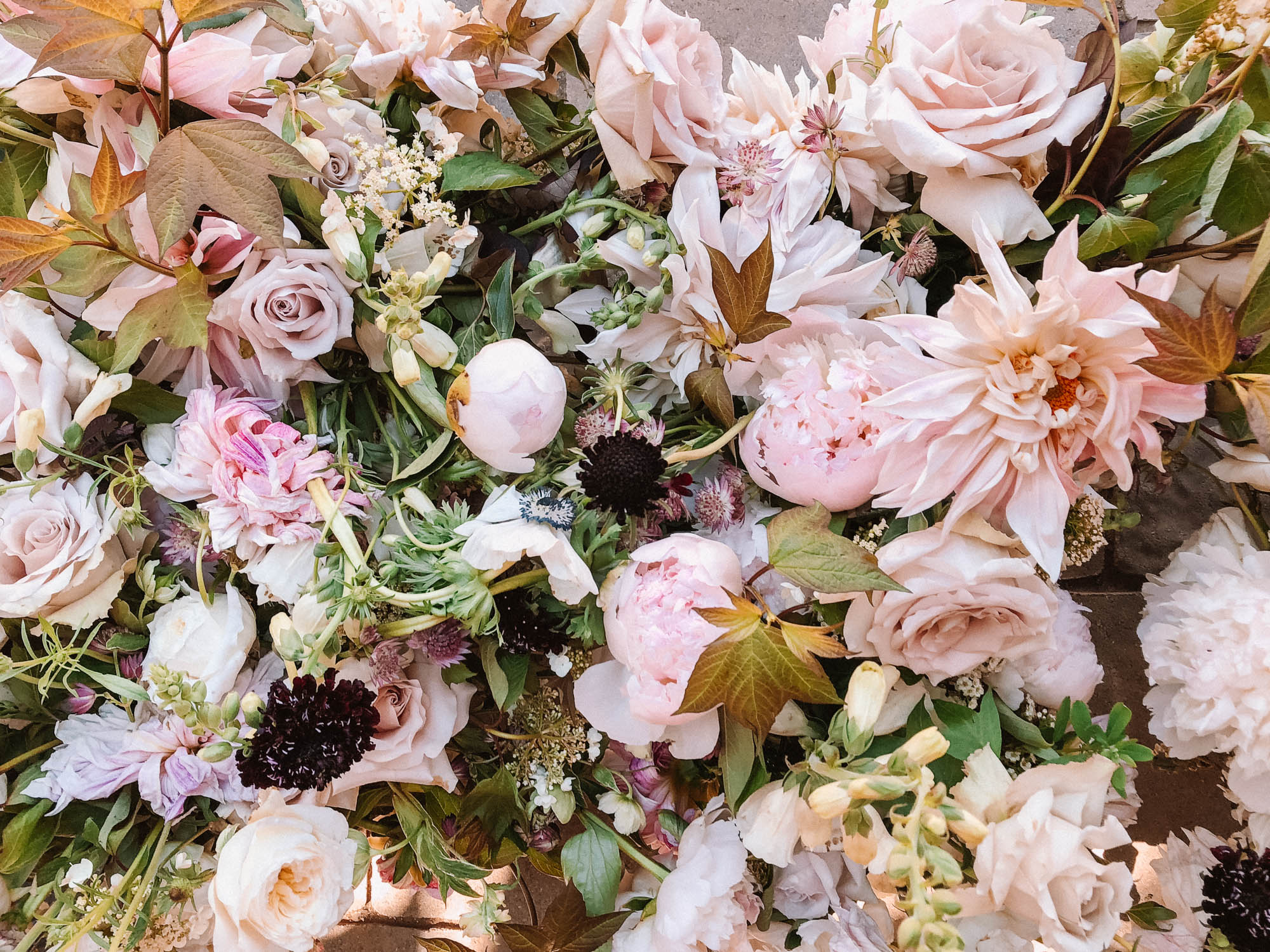 Spring pink flowers