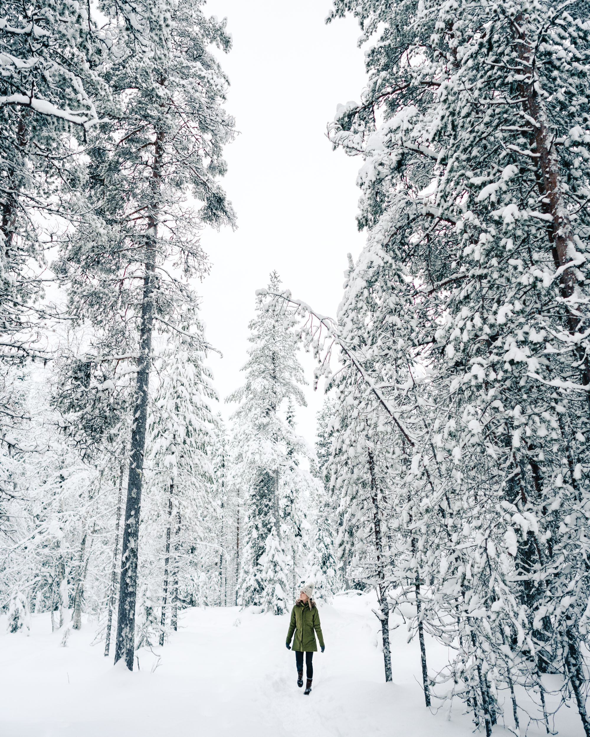 Hiking in Oulanka National Park Finland in winter