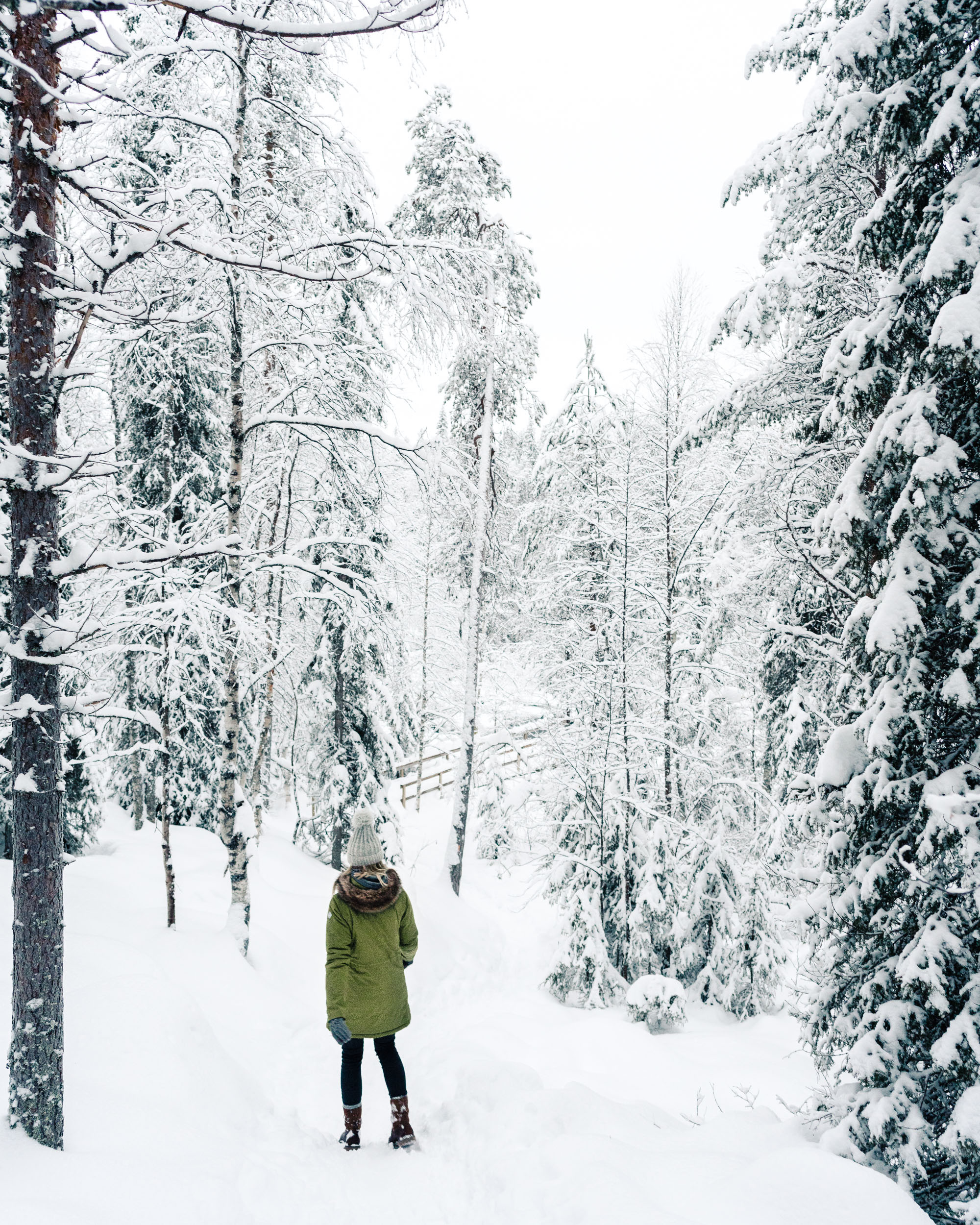 Hiking in Oulanka National Park Finland in winter