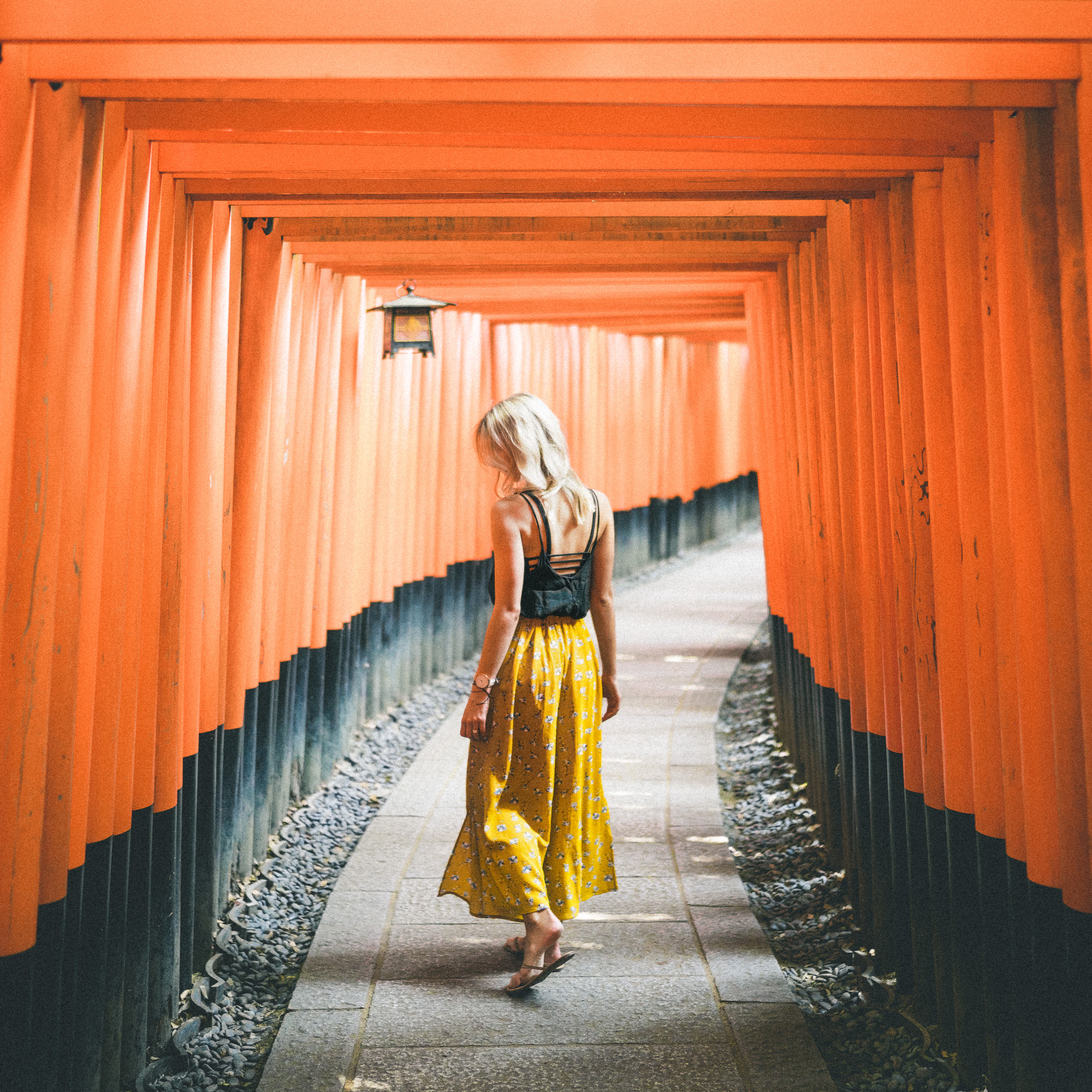 Fushimi-Inari Taisha Shrine in Kyoto, Japan | 24 Hour Guide to Kyoto, Japan | 1 Day Guide Kyoto | Kyoto City Guide | Kyoto Travel Itinerary 