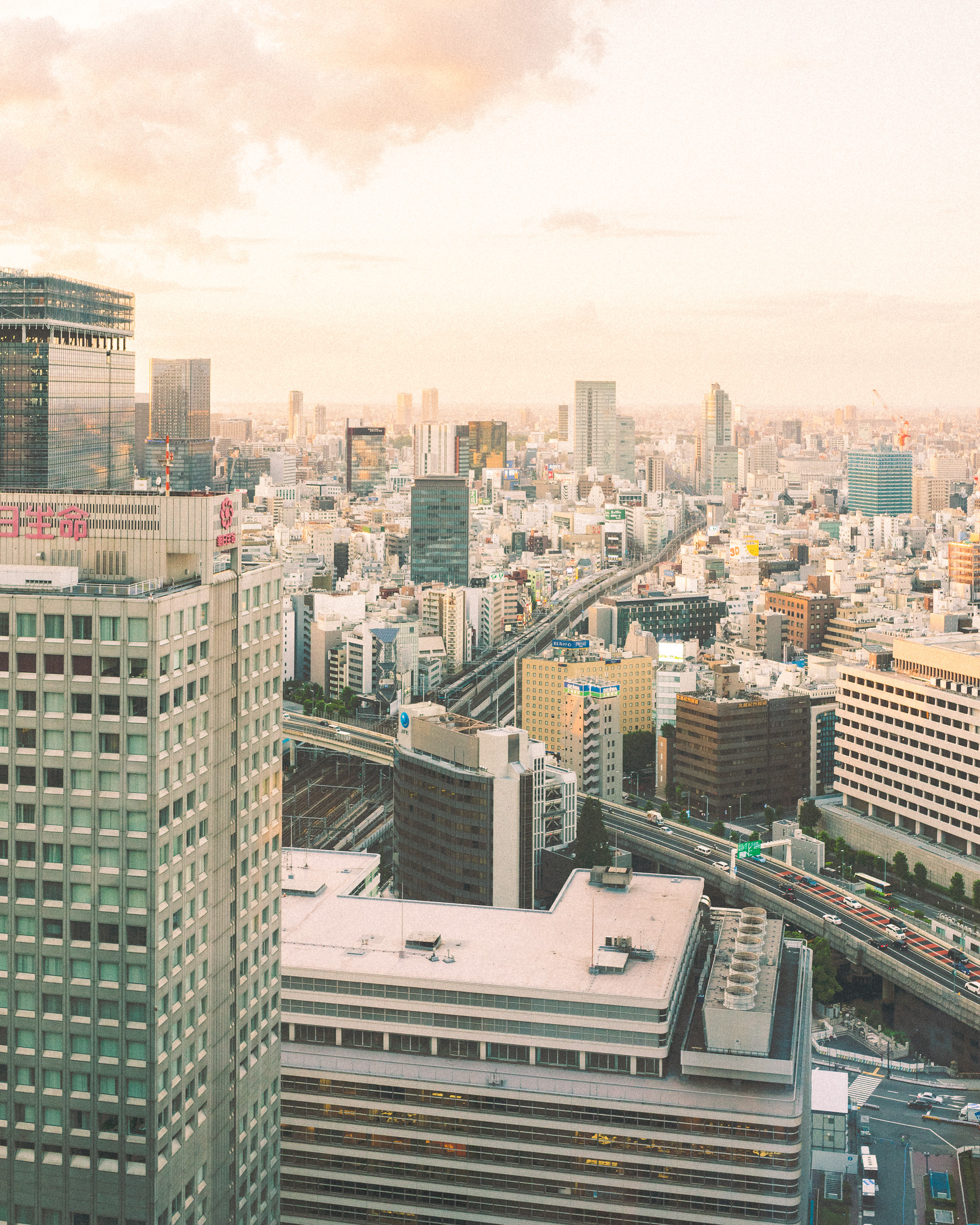 The Complete Tokyo Travel Guide | City Guides | Japan Travel Itinerary | Chiyoda Neighborhood Travel Tips | Shangri La Hotel Tokyo Nadaman | Skyline City Views at Sunset Tokyo